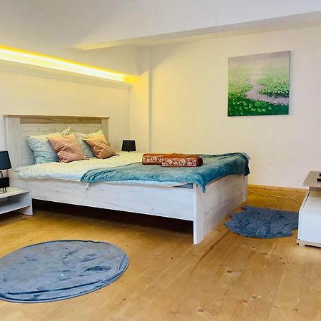 Апартаменты The Central Apartament Клуж-Напока Экстерьер фото